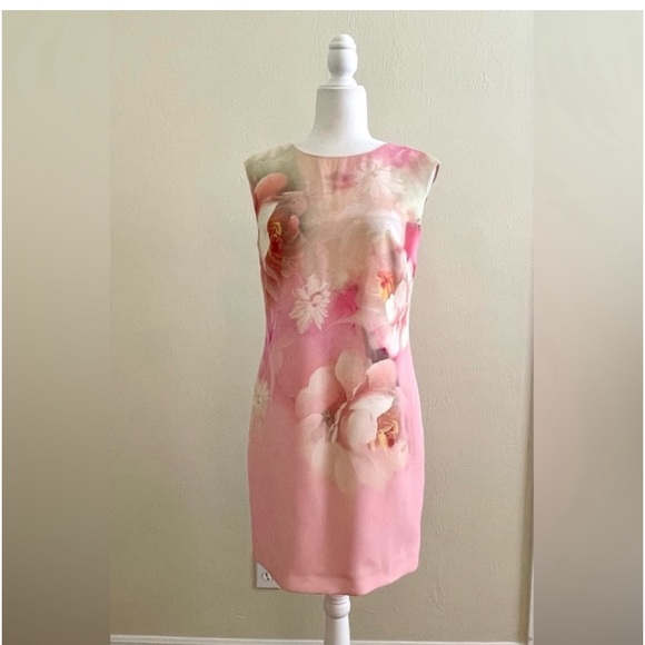Ted Baker Damona Rose On Canvas Sleeveless Pink Floral Mini Dress - Picture 5 of 12